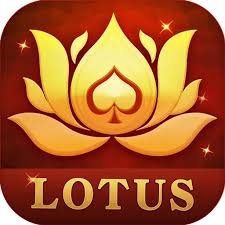 bet777 teen patti apk download download